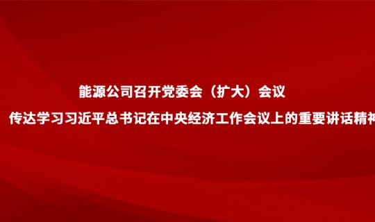 能源公司召开党委会（扩大）会议 传达学习习近平总书记在中央经济工作会议上的重要讲话精神